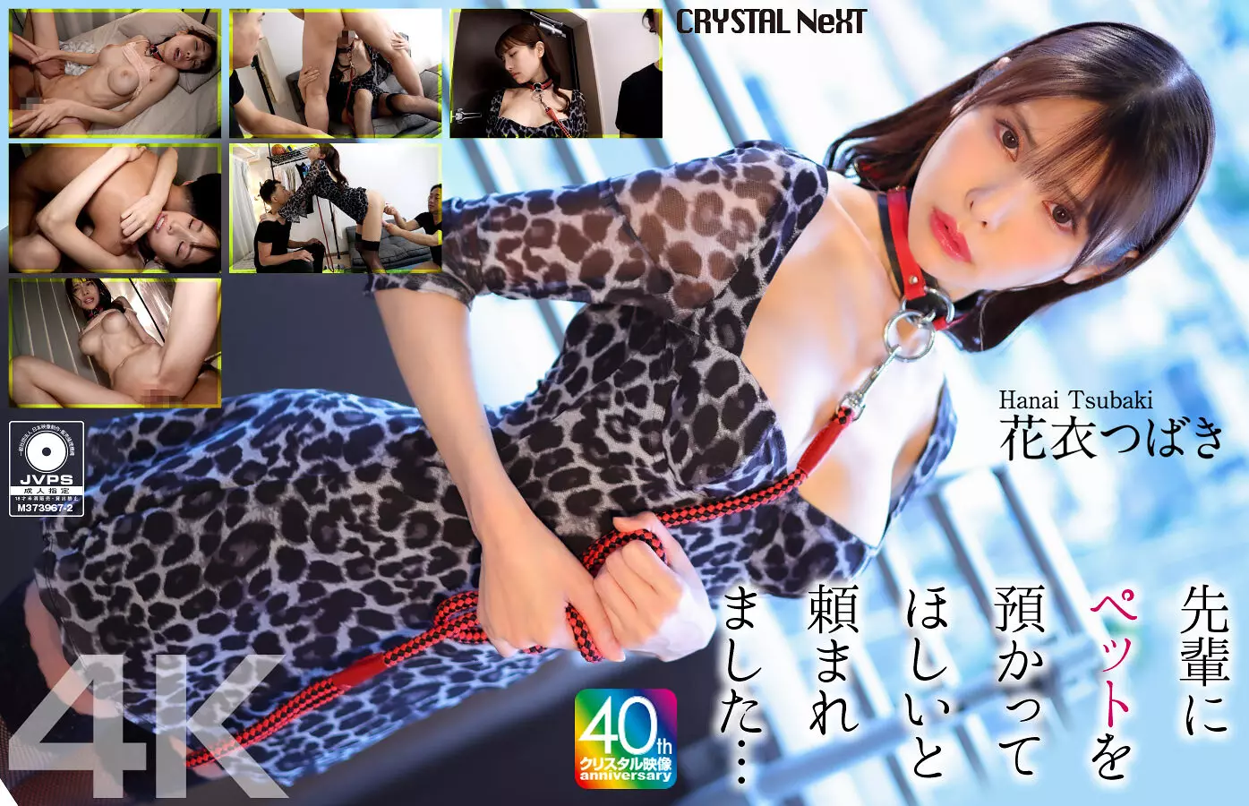 crnx00254 【4K】先輩にペットを預かってほしいと頼まれました… 花衣つばき