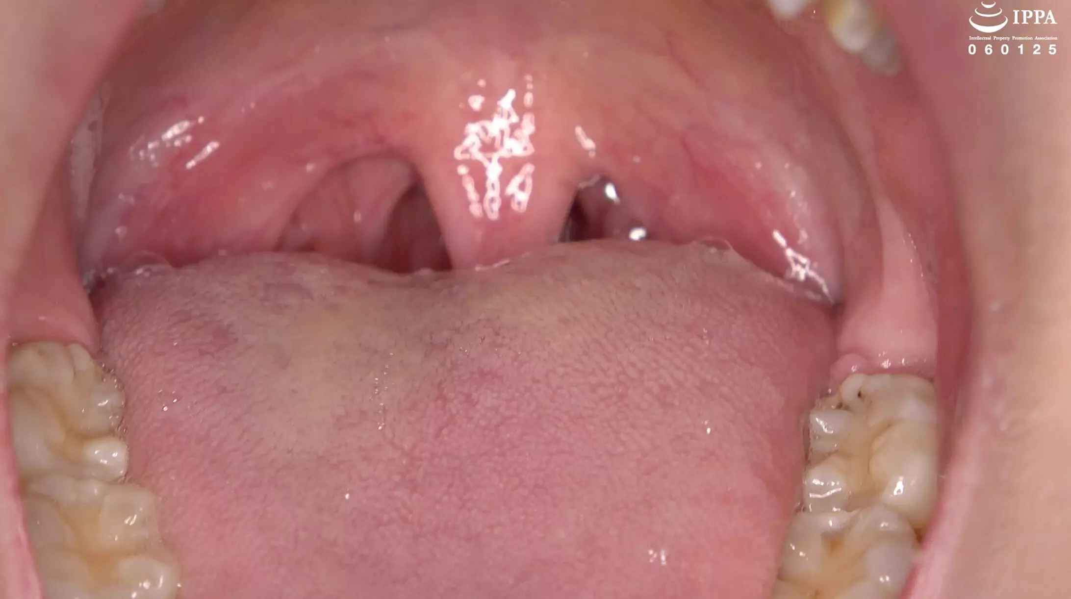 h_1416ad02017 「【歯・口腔フェチ】新人女優牧河柚乃ちゃんの口内観察＆巨大女フェチ」牧河柚乃